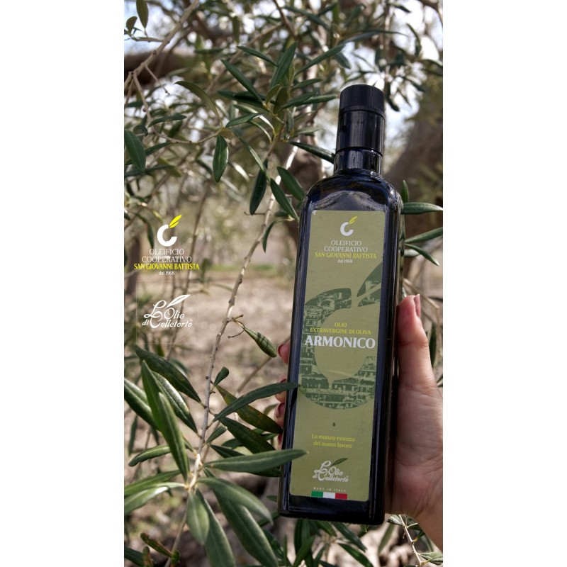 Olio extravergine di oliva Armonico