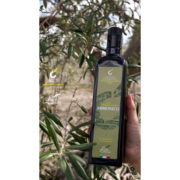 Huile d'olive extra vierge harmonieuse italienne