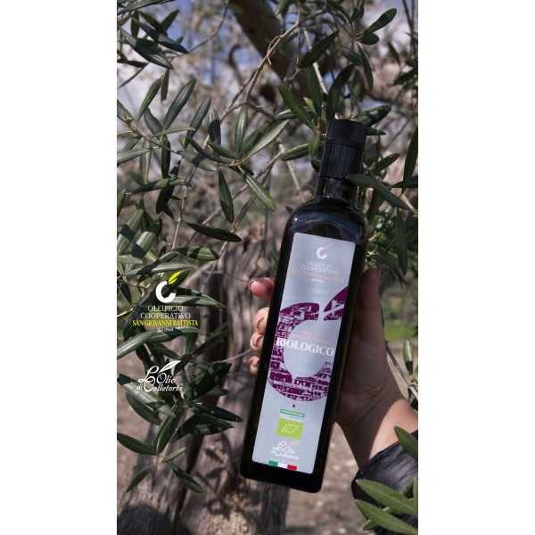 Extra Virgin Olive Oil from Organic Farming